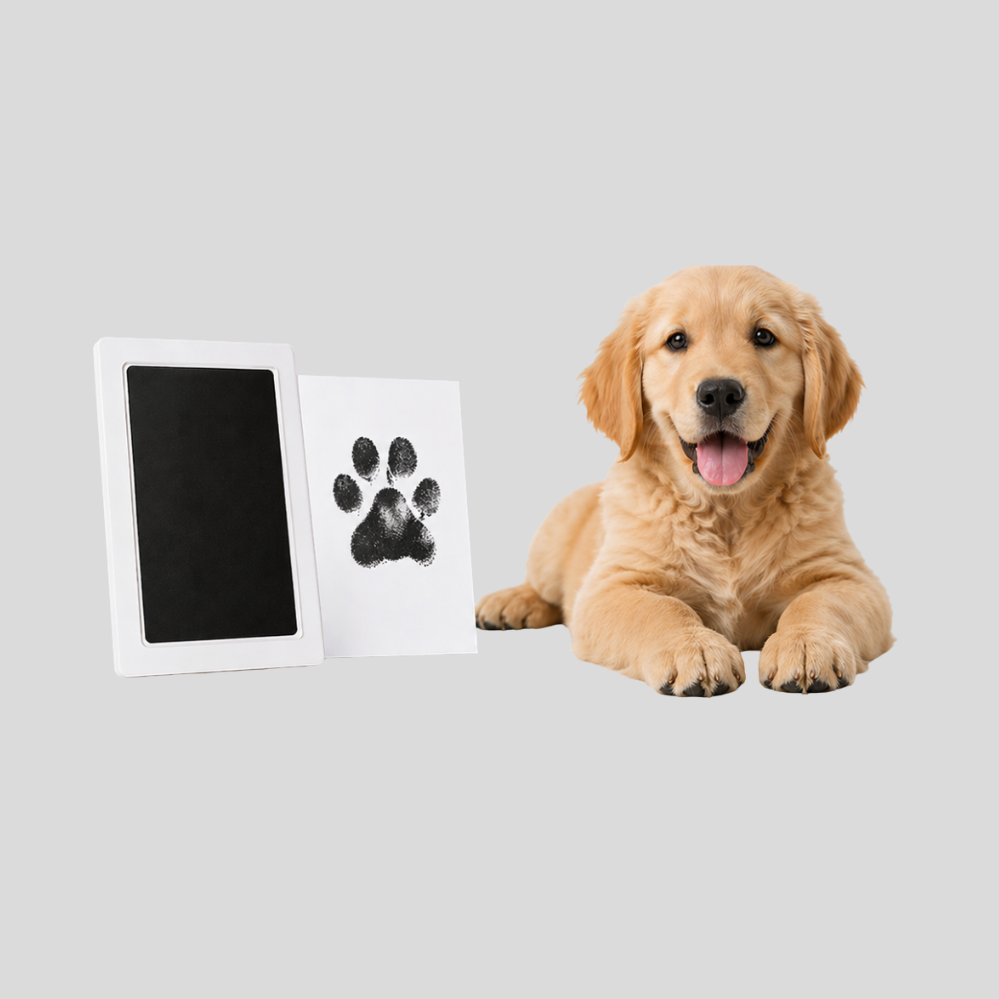 Tampon encreur sans contact pour empreintes de pattes de chien et chat, idéal comme souvenir précieux
