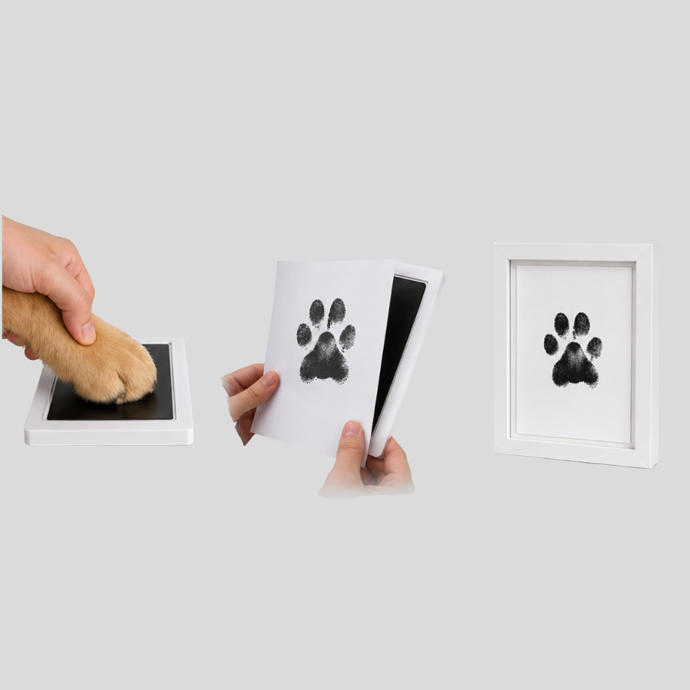 Tampon encreur sans contact pour empreintes de pattes de chien et chat, idéal comme souvenir précieux