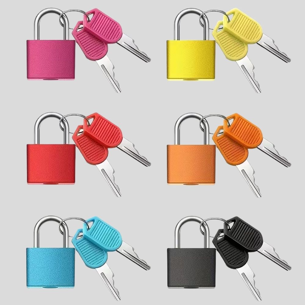 Lot de 2 cadenas métalliques avec clés – valises, casiers & salle de sport