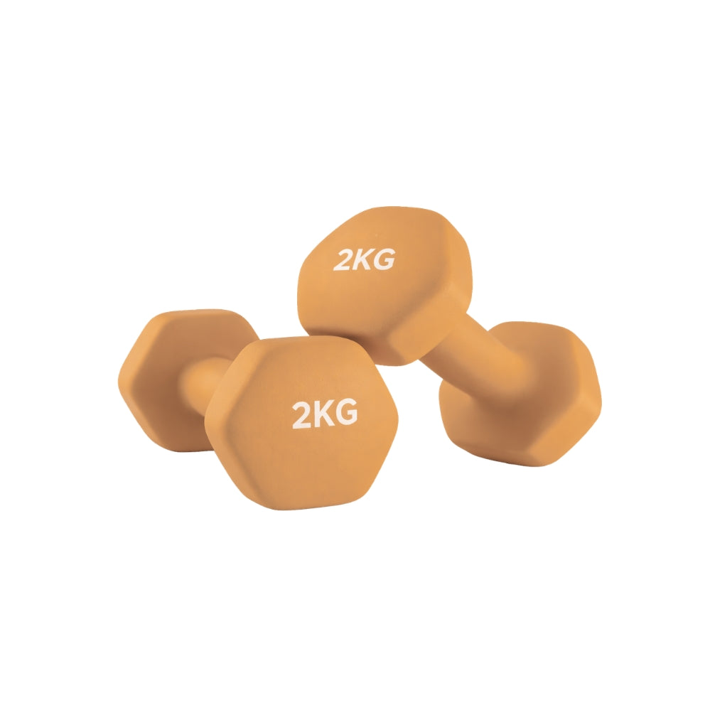 2 kg fitness dumbbells