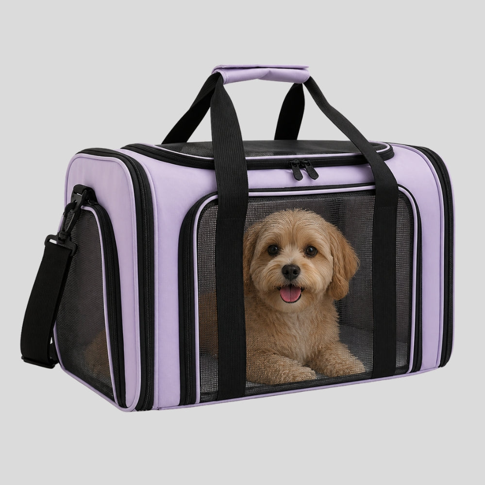 Sac de transport souple pour chats et petits chiens avec panneaux respirants, ouvertures pratiques et bandoulière réglable pour voyager confortablement