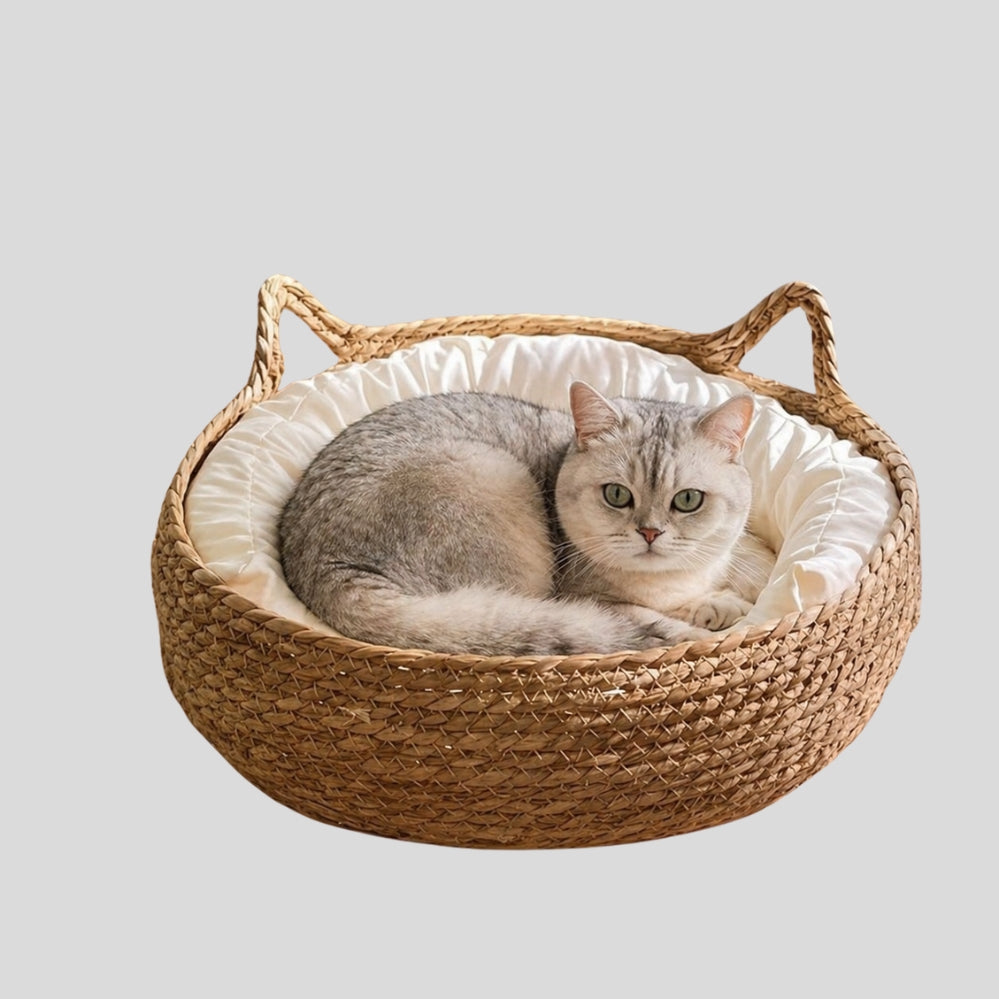 Niche ronde en rotin tressé pour chat, confortable, élégante et idéale pour un repos toute l’année