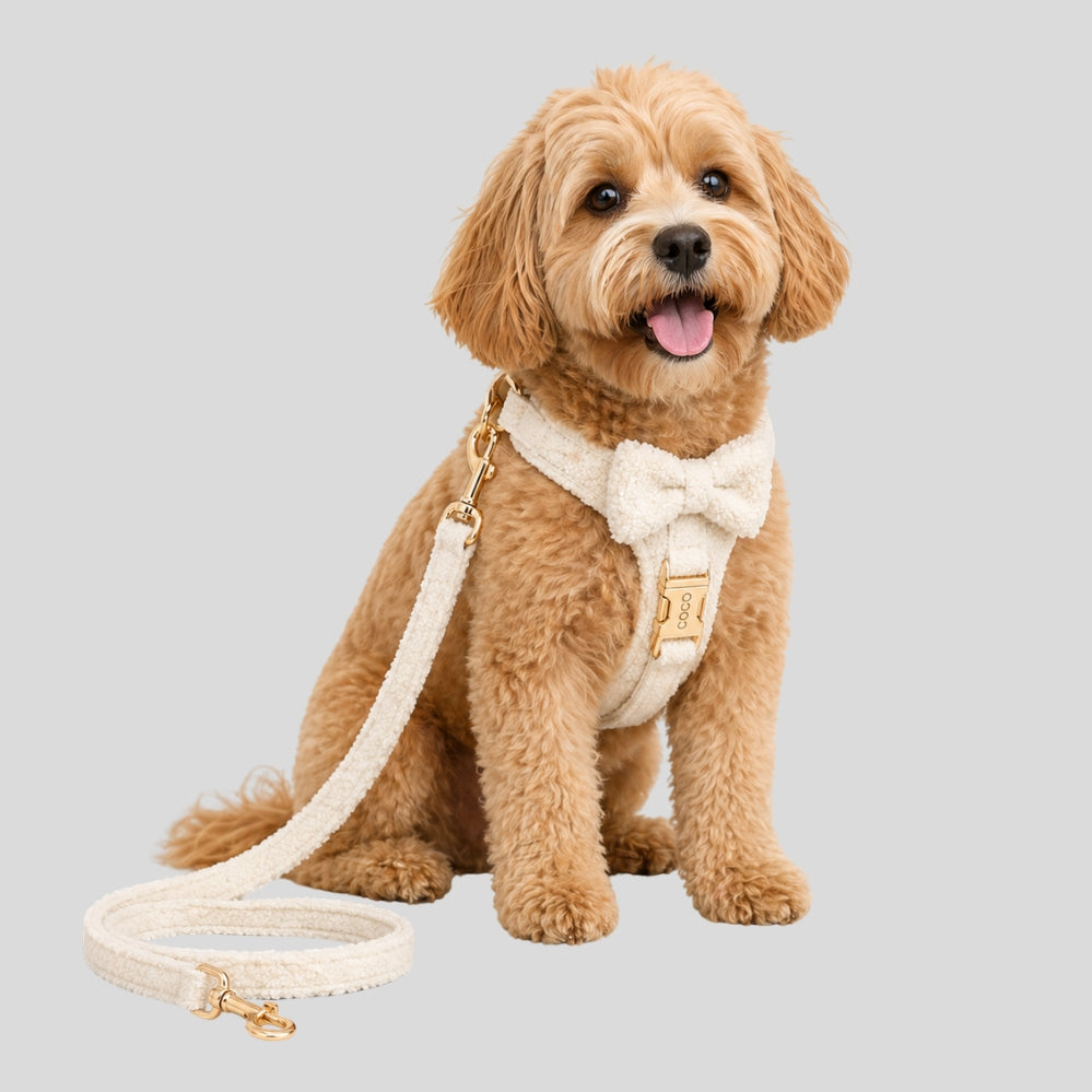 Collier réglable pour chien avec nœud papillon et boucle en métal, doux, confortable et parfait pour un style élégant en automne et hiver