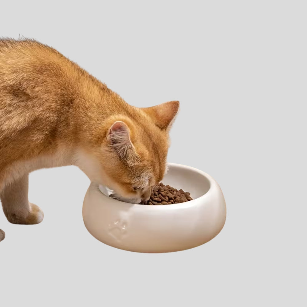 Bol en céramique antidérapant pour chat et chien