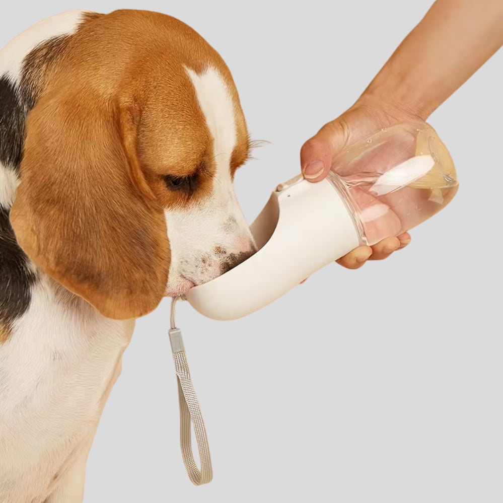 Gourde anti-fuites pour chiens et chats avec dragonne, idéale en extérieur