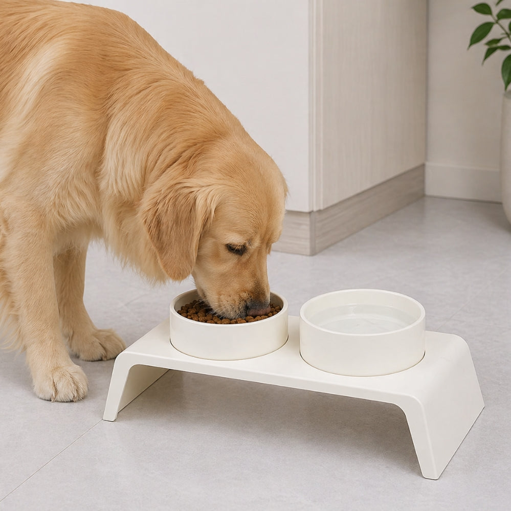 Bol anti-renversement pour chien et chat, gamelle anti-débordement ergonomique
