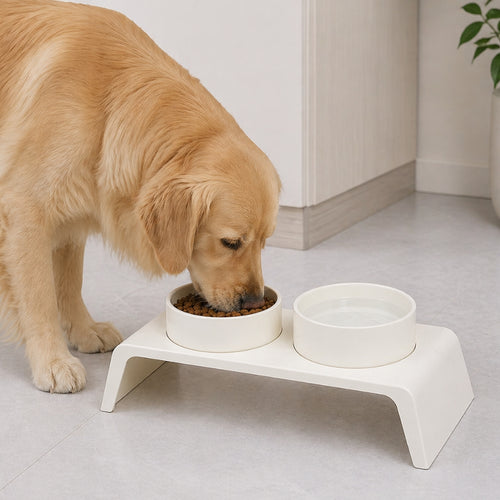 No-spill pet bowl for dogs and cats, ergonomic anti-overflow feeding dish