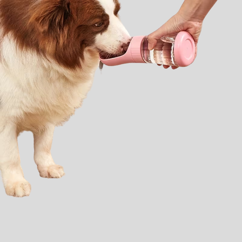 Bouteille d’eau portable pour chien avec bol pliable, rangement et sac à déjections intégré