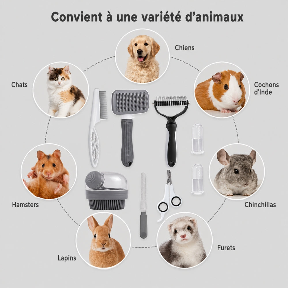 Kit de toilettage 8 pièces pour chien avec brosses, coupe-ongles et peigne anti-puces