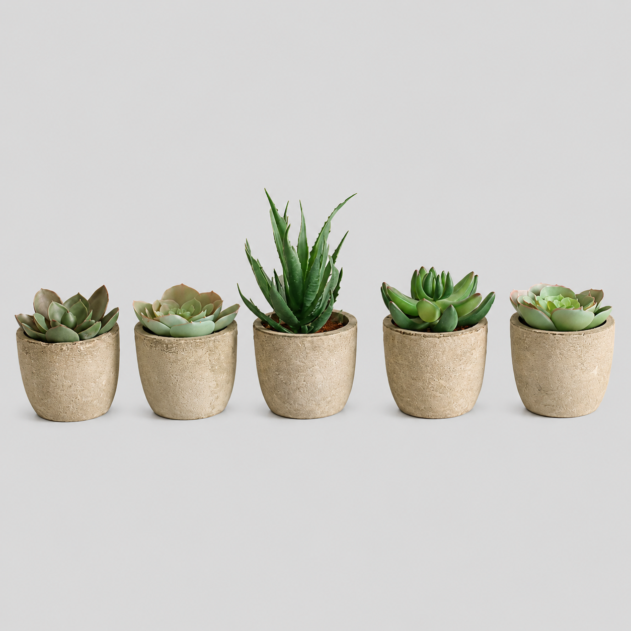 5 Pots en 1 Lot - Plantes Succulentes Simulées en Pulpe de Papier - Décoration de Bureau