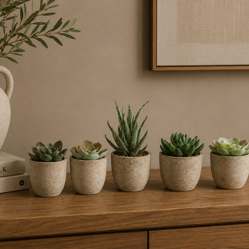 5 Pots en 1 Lot - Plantes Succulentes Simulées en Pulpe de Papier - Décoration de Bureau