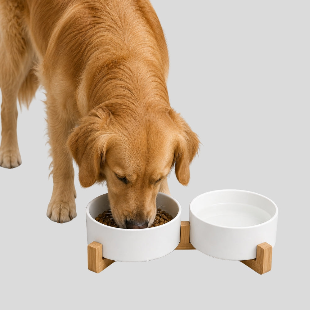 Gamelle en céramique pour chien et chat avec support en bois antidérapant – Design stable et anti-éclaboussures pour petits animaux